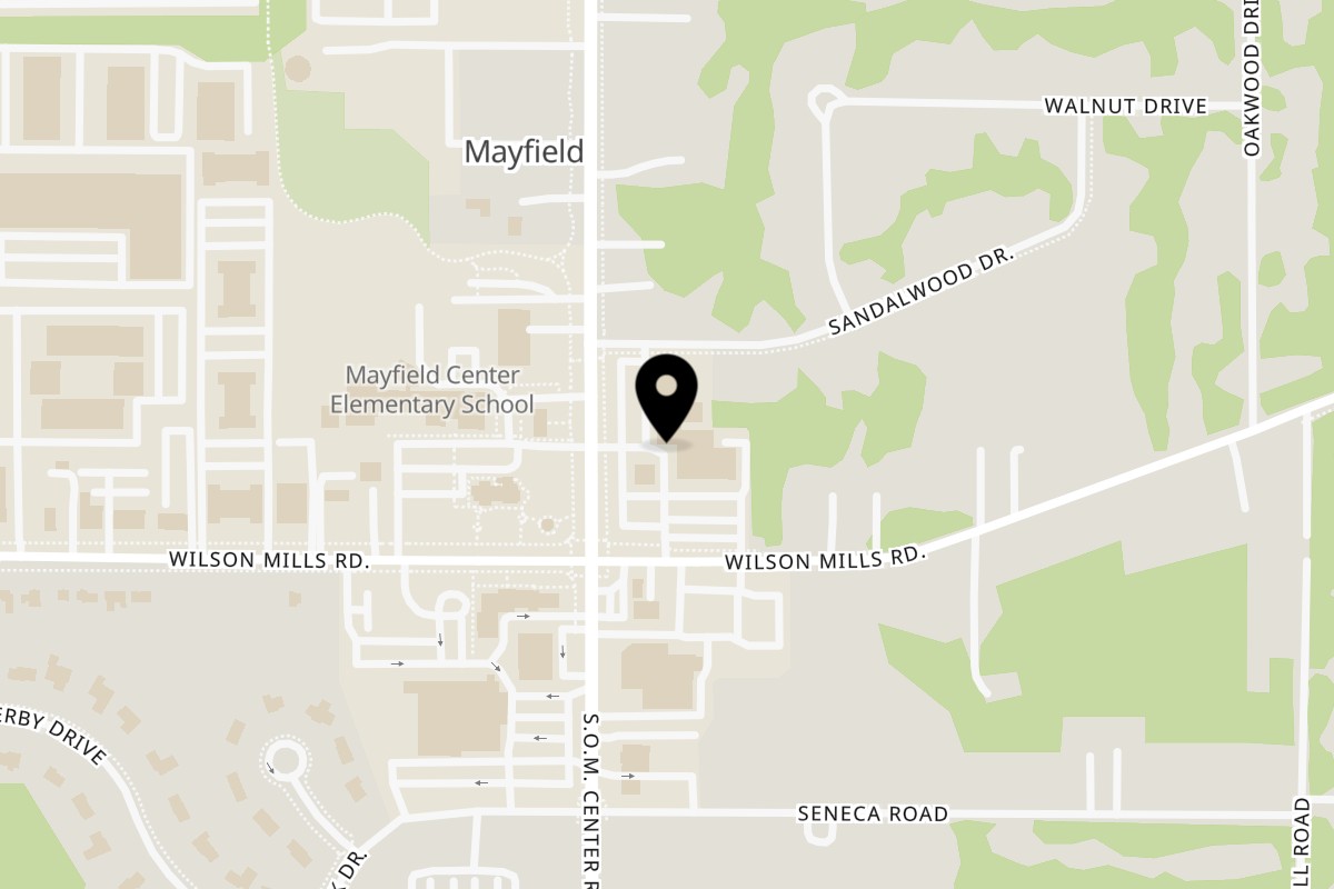 Map showing the location of Pizza Roma on 785 SOM Ctr Rd in Cleveland